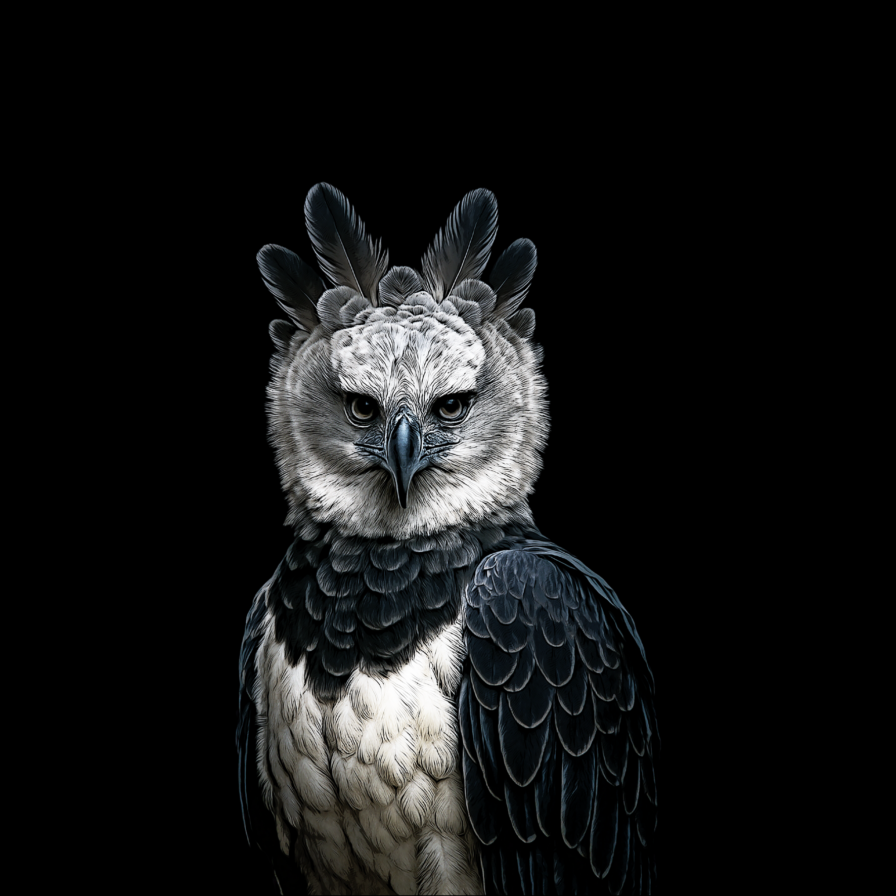 Design_Harpiye.png