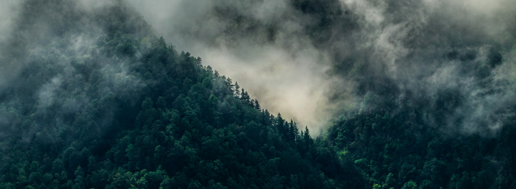 Waldspaziergang_a0c7aaa9-523b-4999-bce3-6921d297b3e7.png