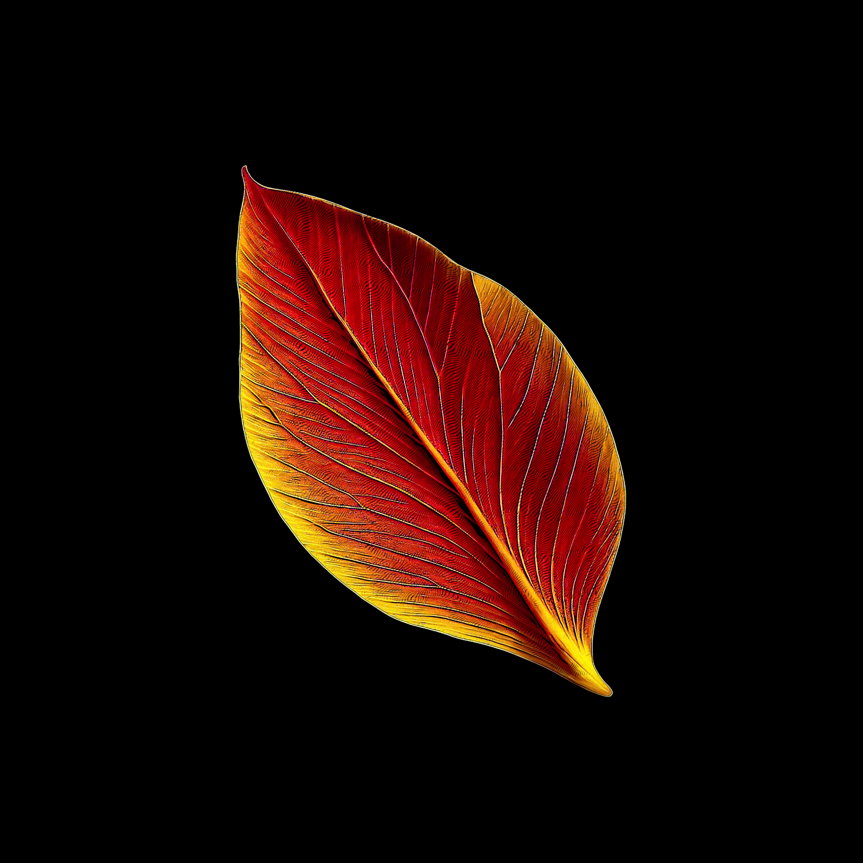 Design Inferno Leaf