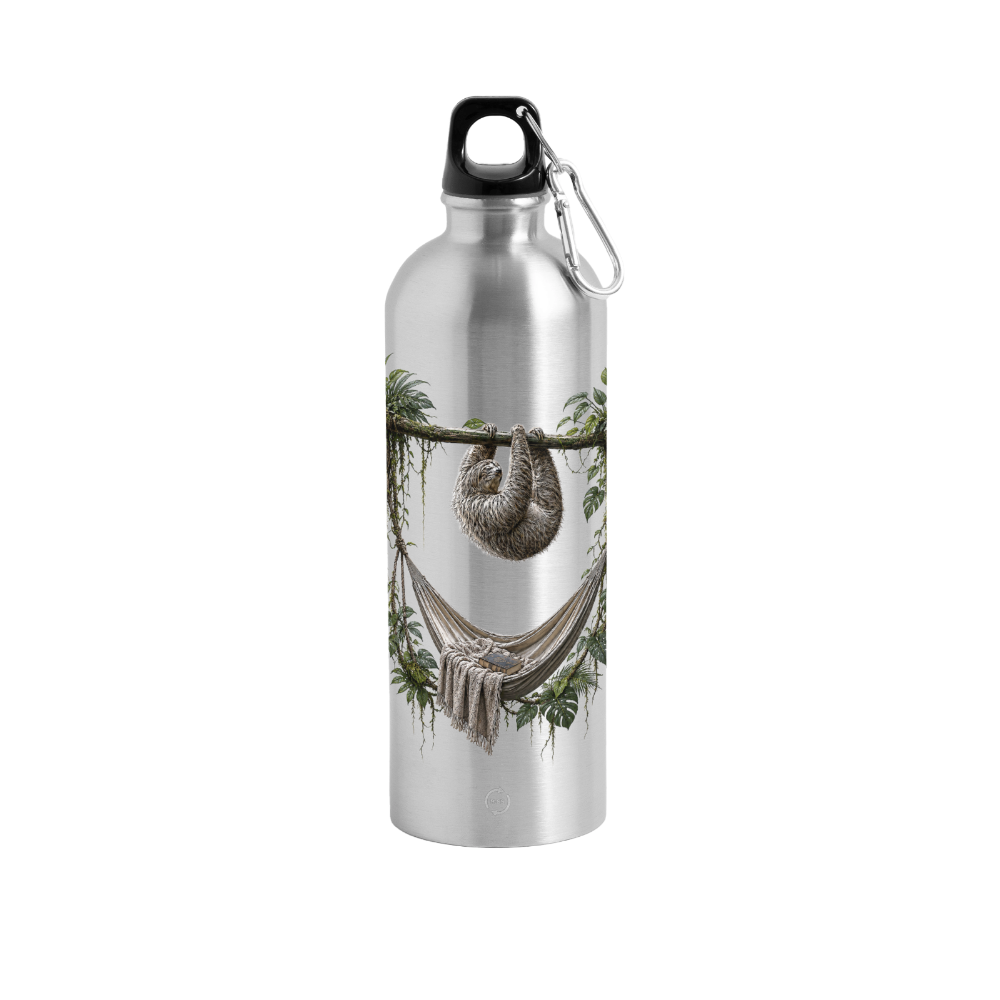 Panorama Trinkflasche mit Karabiner 750 ml - Lightsilver