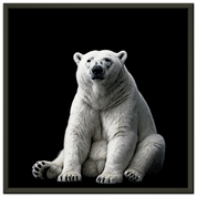 243318f5-2013-4122-bae6-e7b6ed3e7075