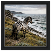 71317c7b-bb9e-4f39-aa2a-e9d340743861