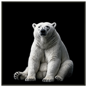 819d8e51-d3bb-4385-9a51-1747c8224e5c