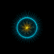 Bild aus Premium-Papier in Metall-Rahmen, Motiv: Biolumineszens