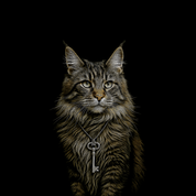 Bild aus Premium-Papier in Metall-Rahmen, Motiv: Waldkatze