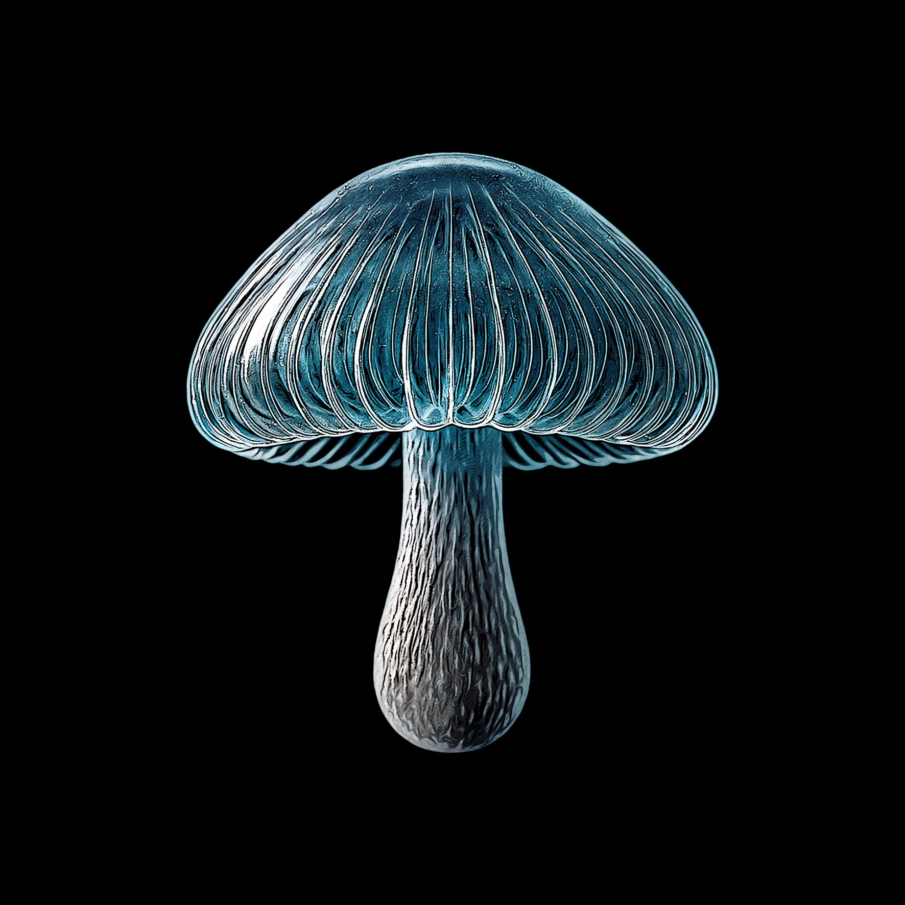 Design_Crystal_Shroom.png