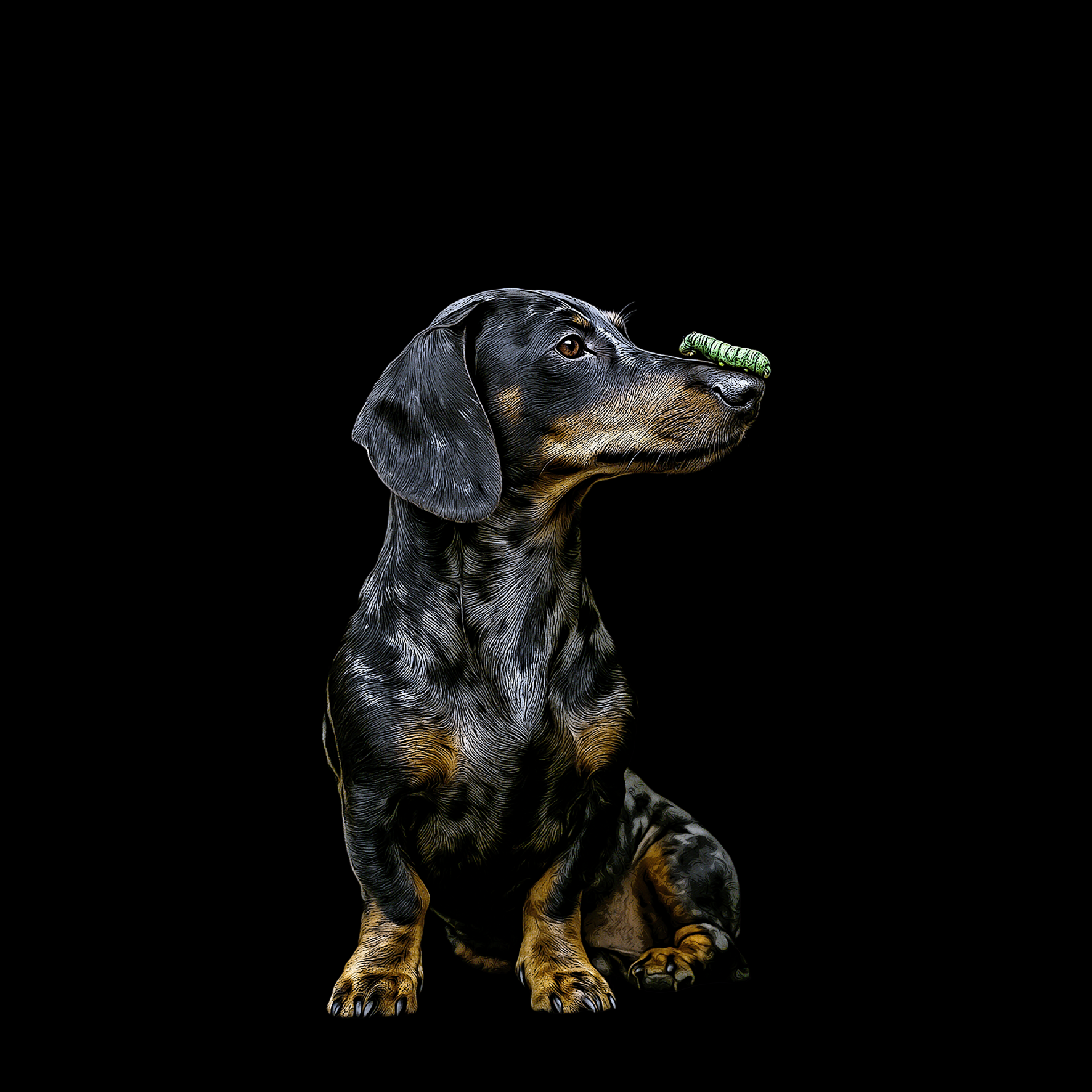 Design_Dackel_5b31ea11-471d-41c8-aa0d-f24a7643ed53.png
