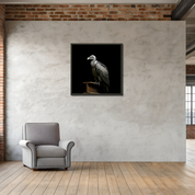 Bild aus Premium-Papier in Metall-Rahmen, Motiv: Geier