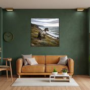Wandbild mit Metallrahmen, Design Appaloosa am Meer