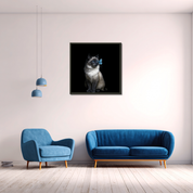 Bild aus Premium-Papier in Metall-Rahmen, Motiv: Ragdoll