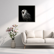 Bild aus Premium-Papier in Metall-Rahmen, Motiv: Schneeeule