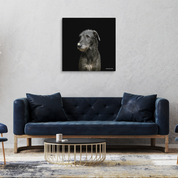 Bild aus Premium-Papier in Metall-Rahmen, Motiv: Wolfhund