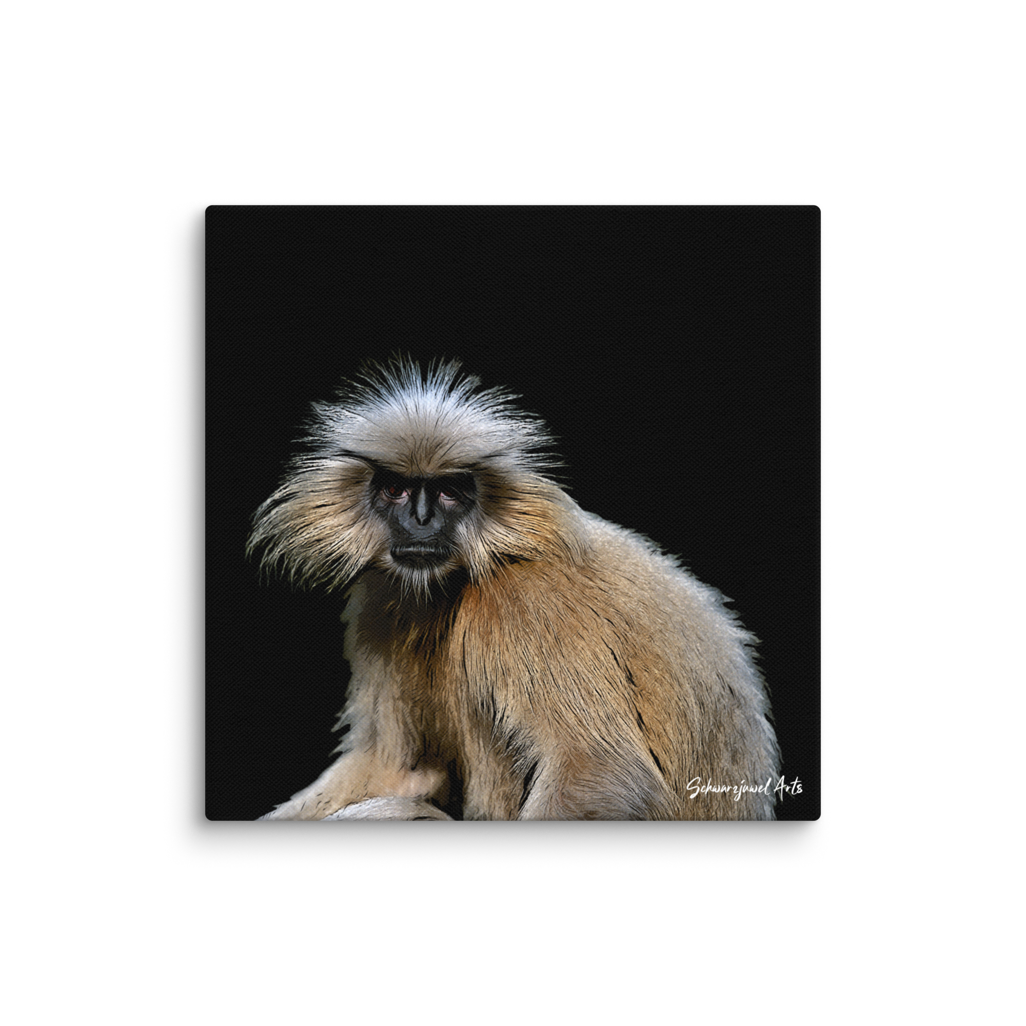 Leinwand mit schwarzem Hintergrund und Goldlangur