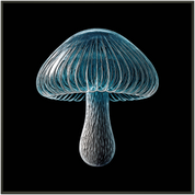 Bild aus Premium-Papier in Metall-Rahmen, Motiv: Crystal Shroom