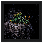 a272d179-28d0-4f89-a75b-d0f9c6ab480d