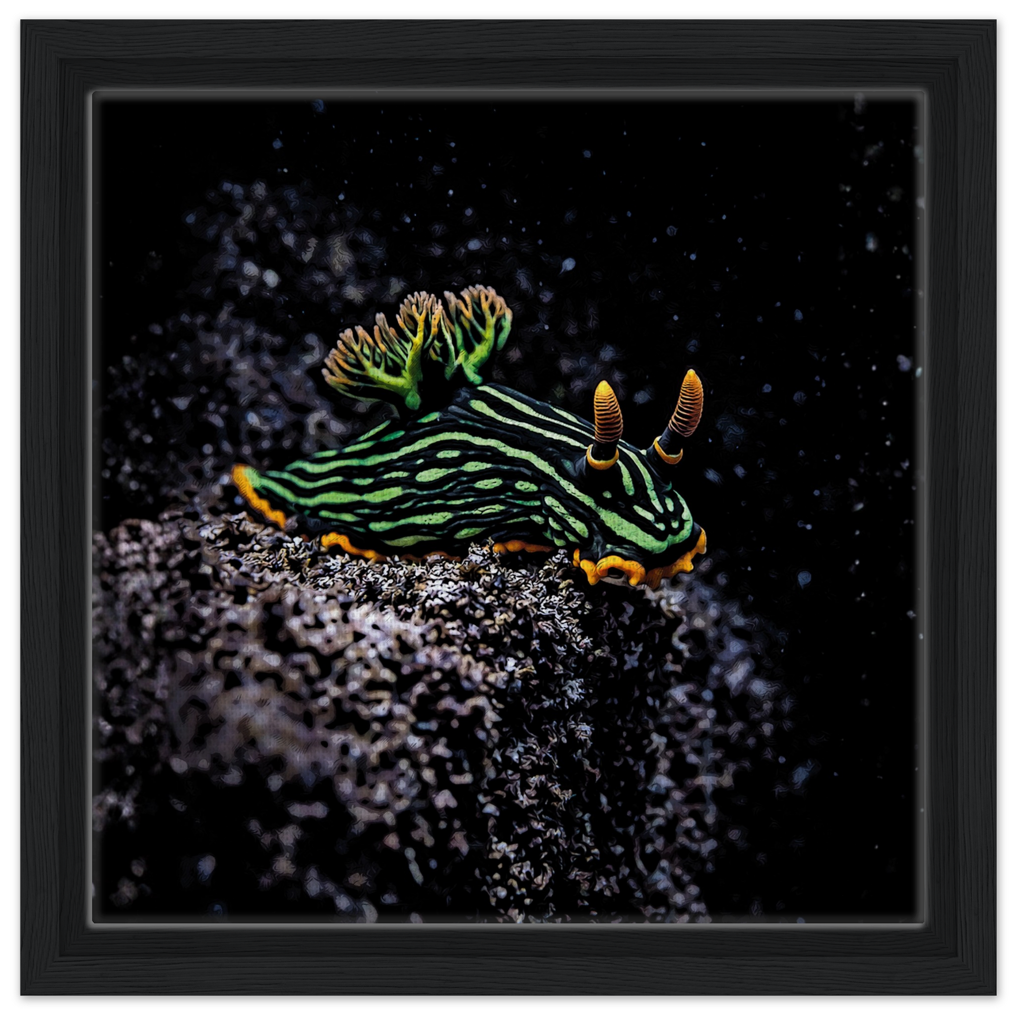 a272d179-28d0-4f89-a75b-d0f9c6ab480d