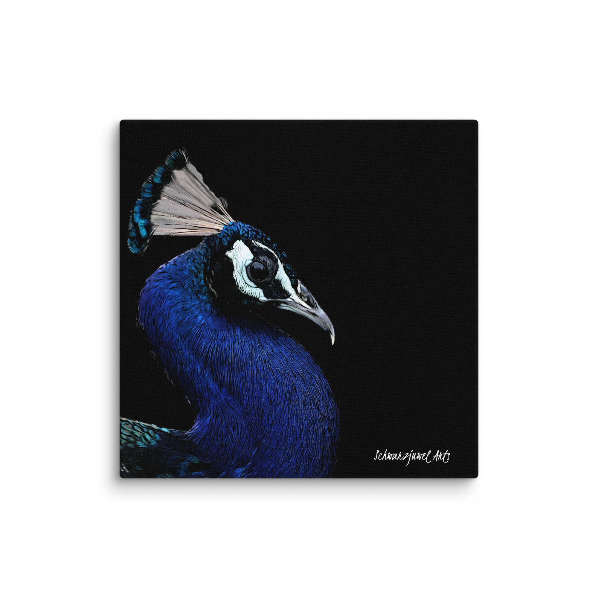 canvas-_in_-12x12-wall-67e1c59c17d99.png