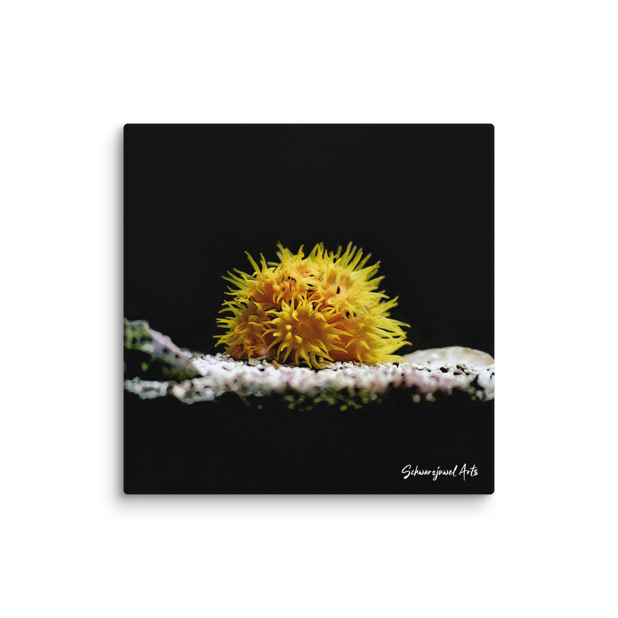 canvas-_in_-12x12-wall-67f6c0b5c581c.png