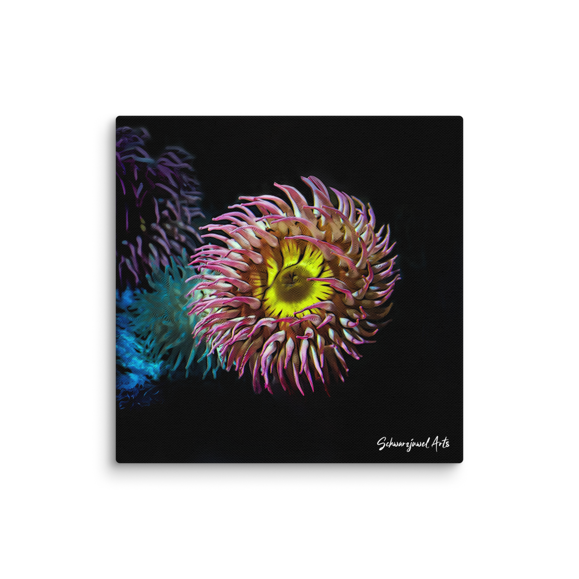 Leinwand Seeanemone