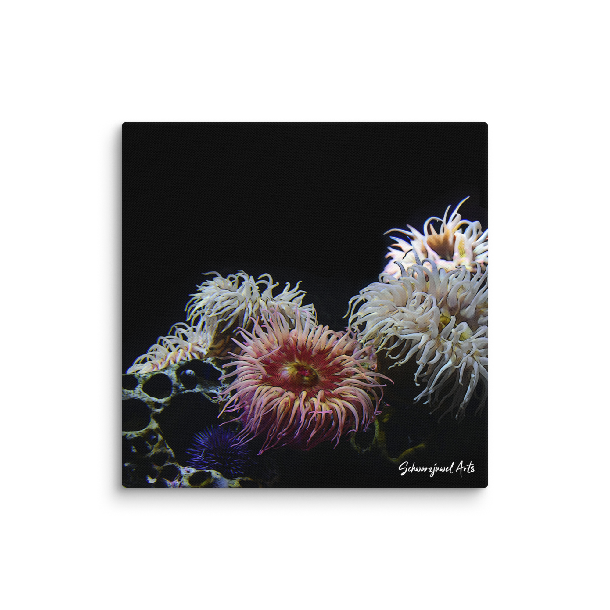 canvas-_in_-12x12-wall-67f6c5f82b388.png
