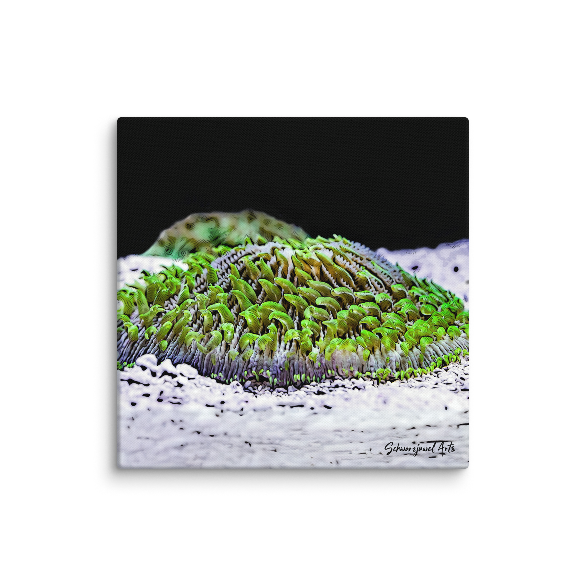 canvas-_in_-12x12-wall-67f6d6f5252fb.png
