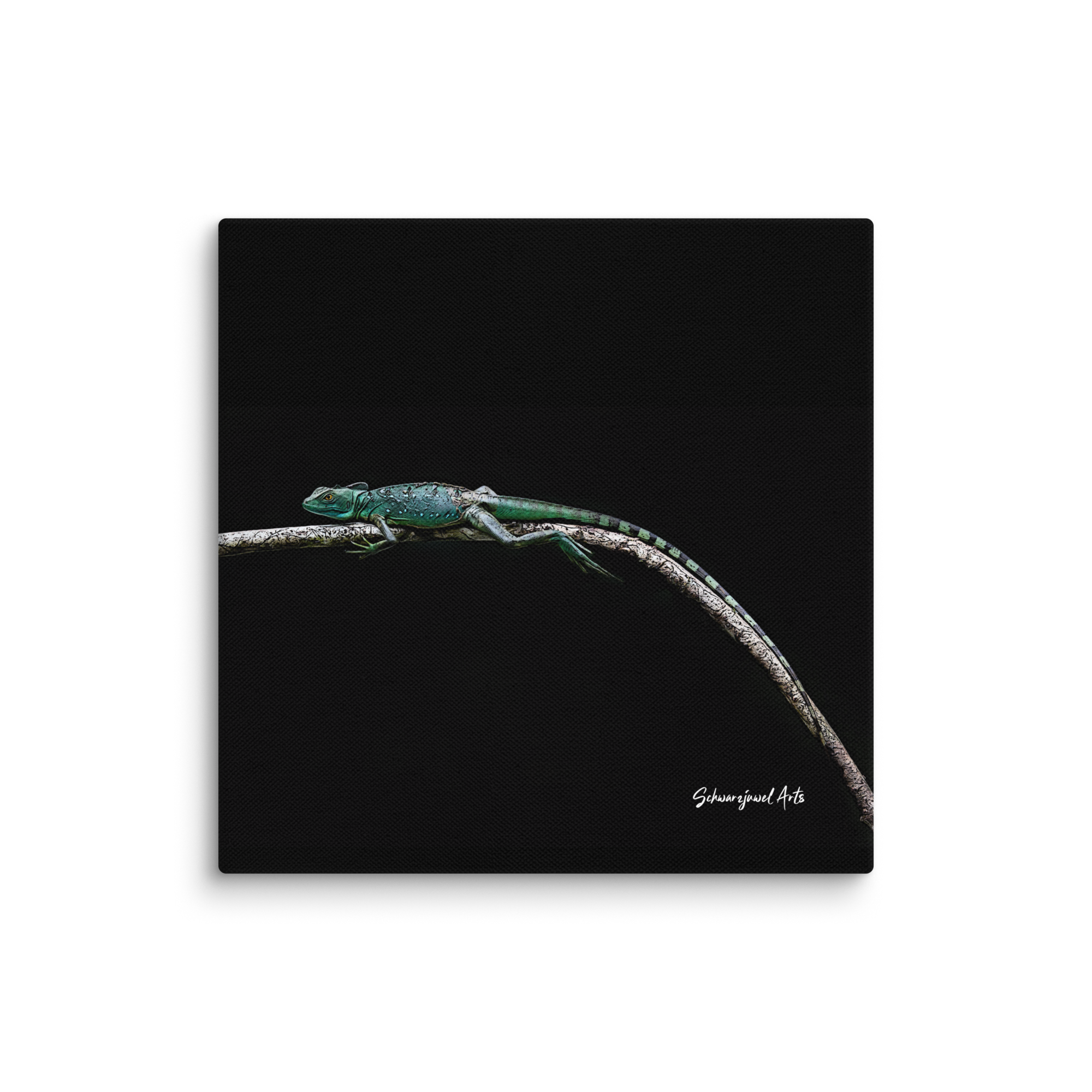 Leinwand Stirnlappenbasilisk