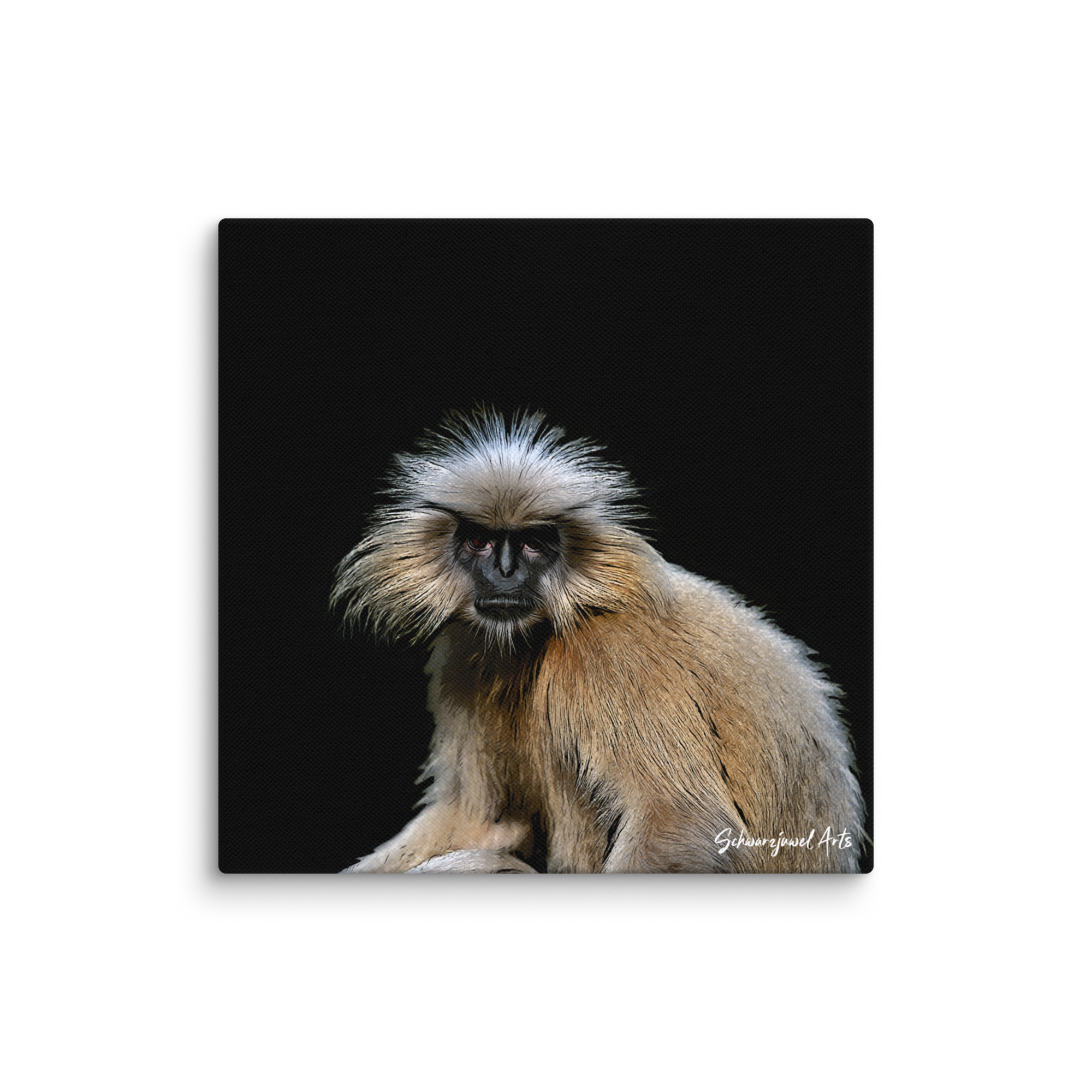 Leinwand Goldlangur