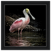 dc06e810-dc77-4fc7-8b45-94fca3ee0ed3