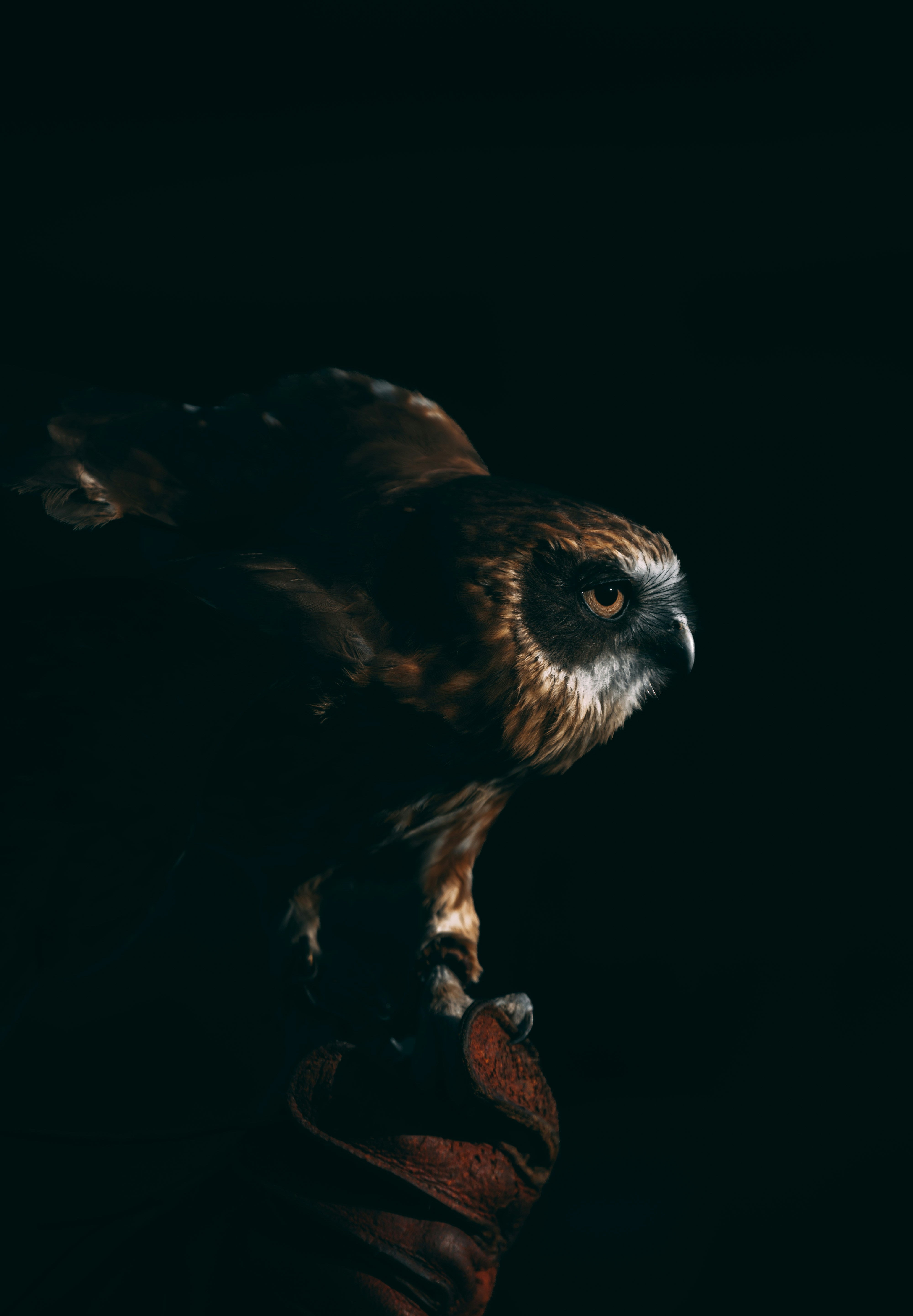 rob-potter-aMCW88mDdHM-unsplash.jpg